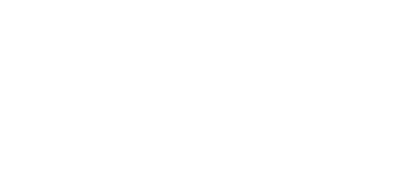 Carnitine Bulk Ingredients Logo